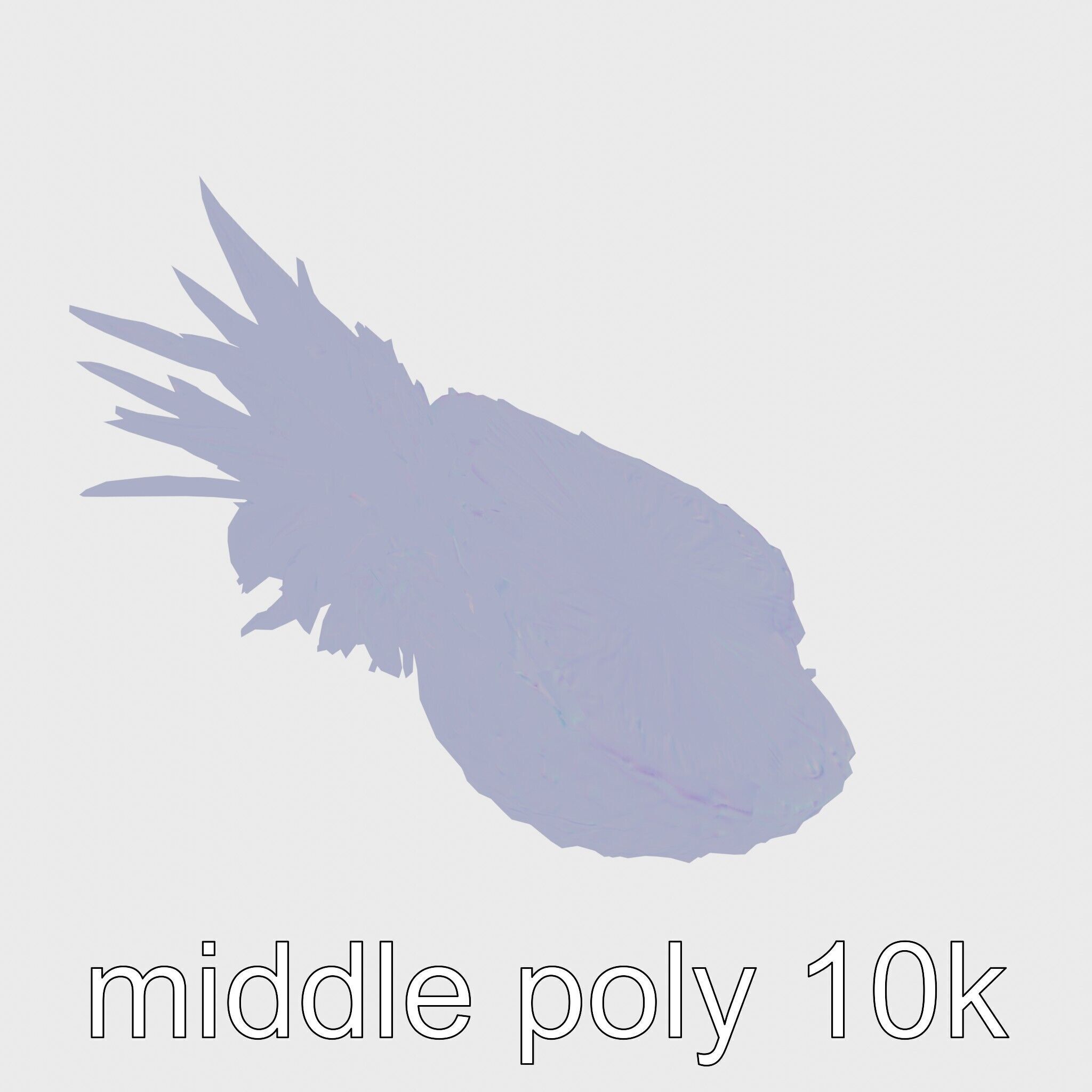 Exotic Pineapple Slice 3D model pack Low-poly 3D model_15