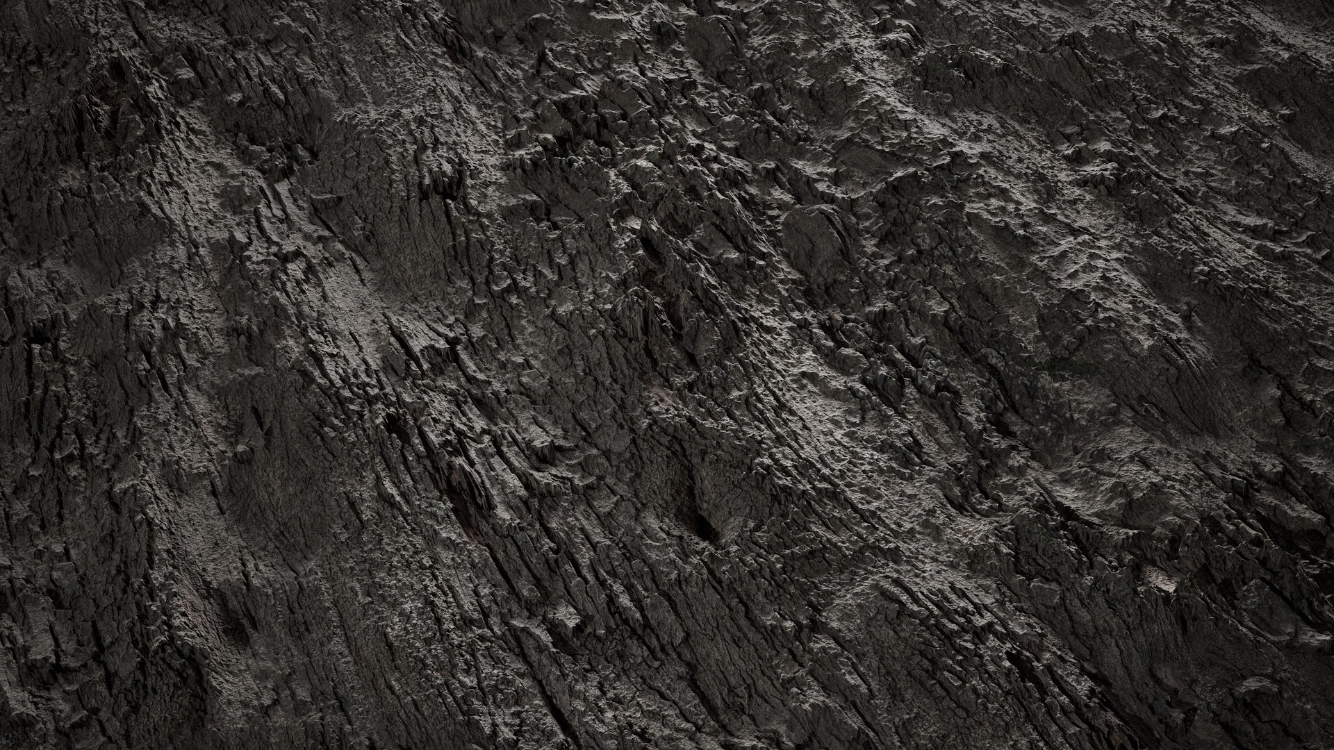 Anydrafts Bauhinia variegata Bark 07 Texture_2