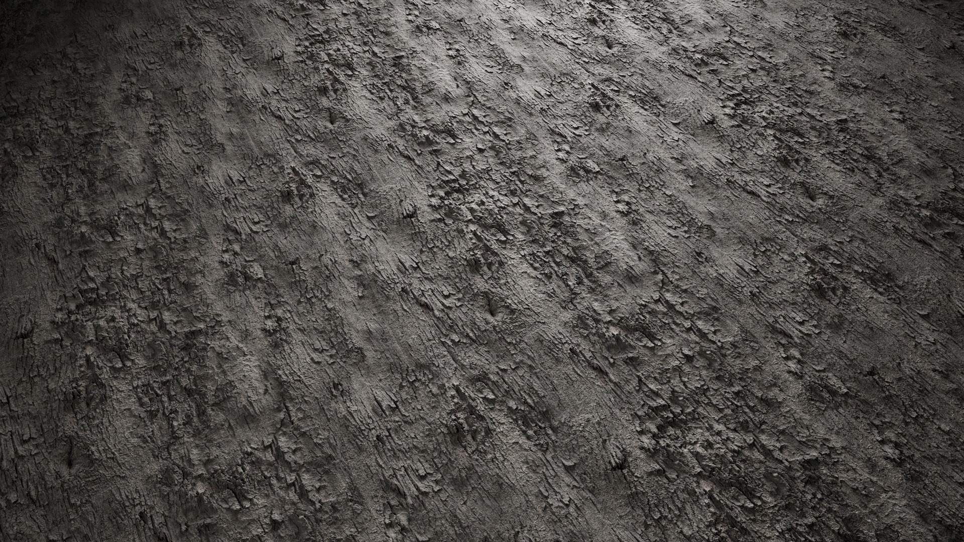 Anydrafts Bauhinia variegata Bark 07 Texture_4