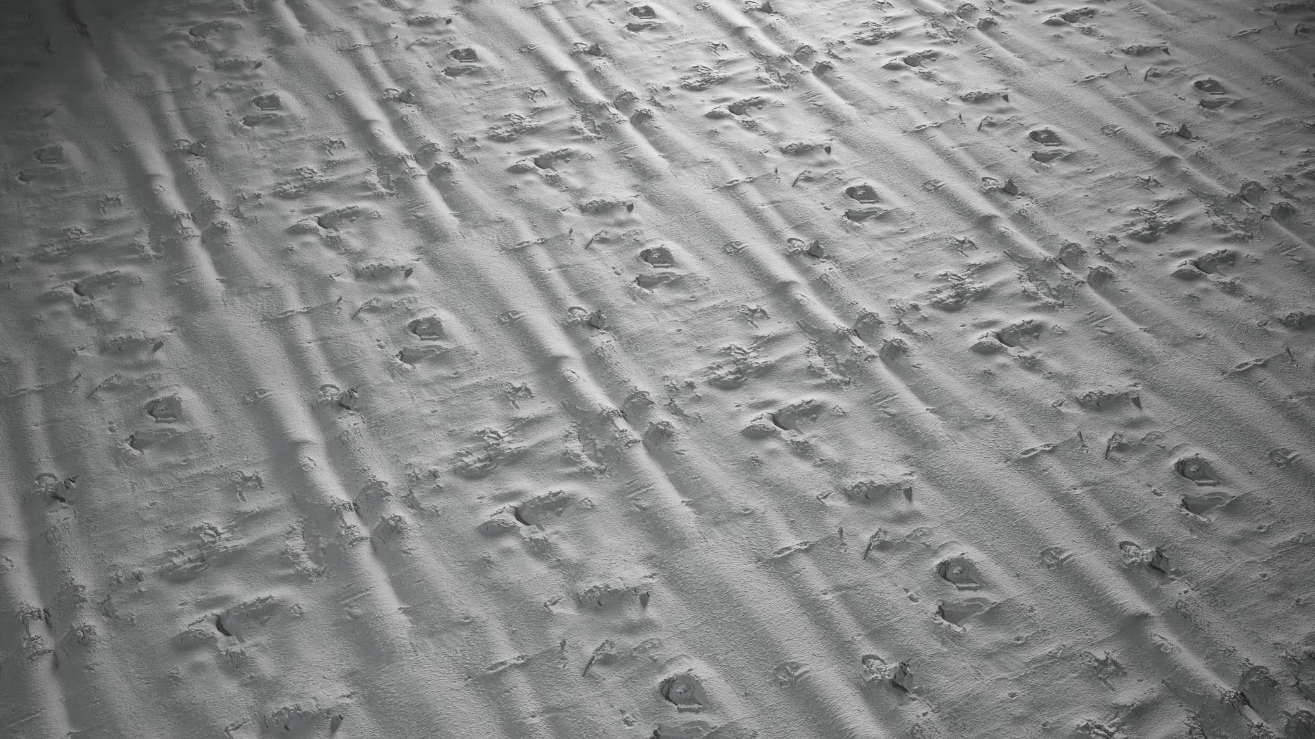 Anydrafts Bauhinia variegata Bark 08 Texture_5