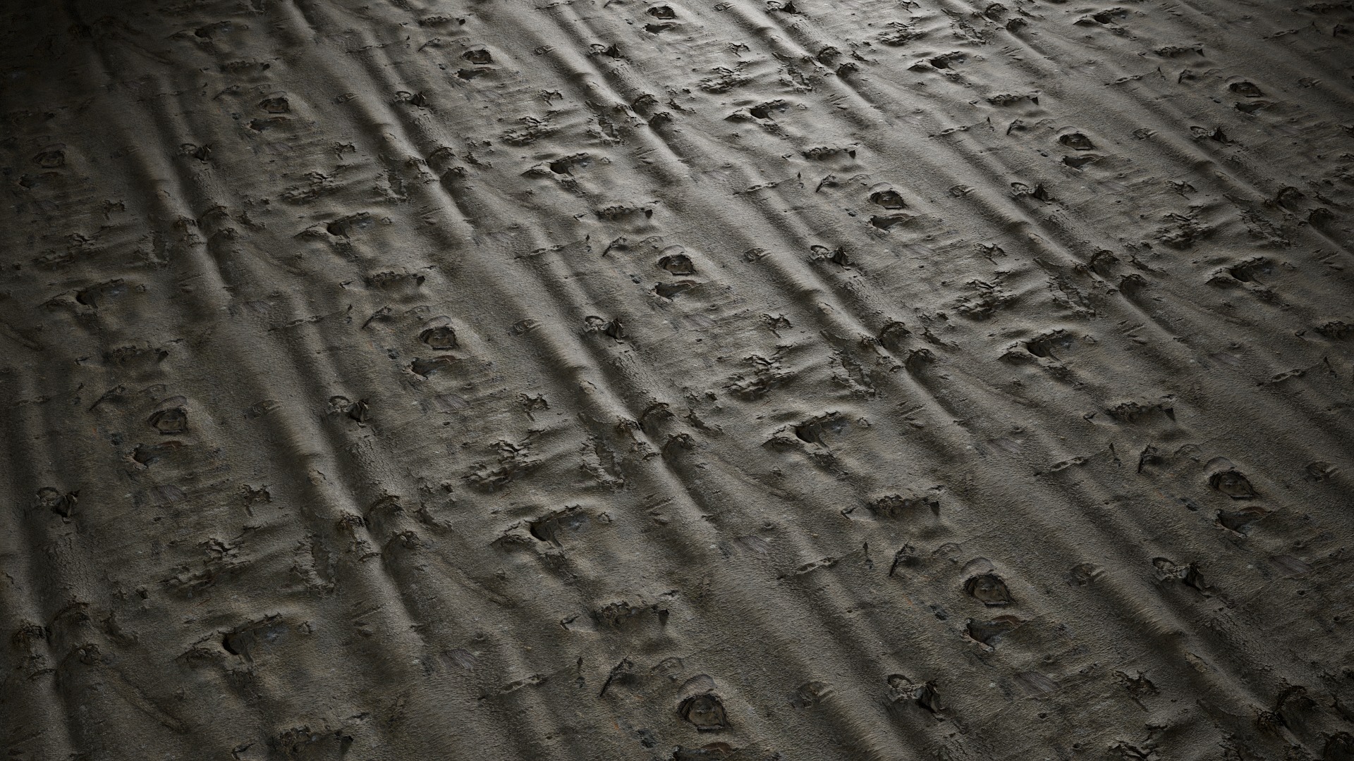 Anydrafts Bauhinia variegata Bark 08 Texture_4