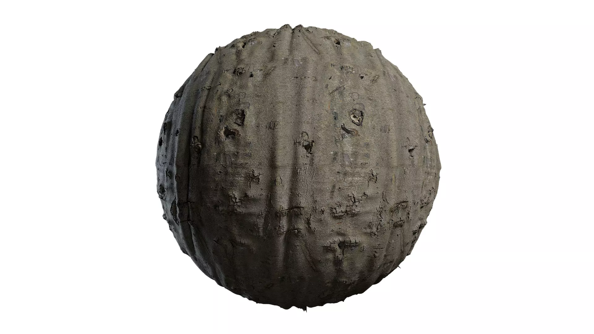 Anydrafts Bauhinia variegata Bark 08 Texture_0