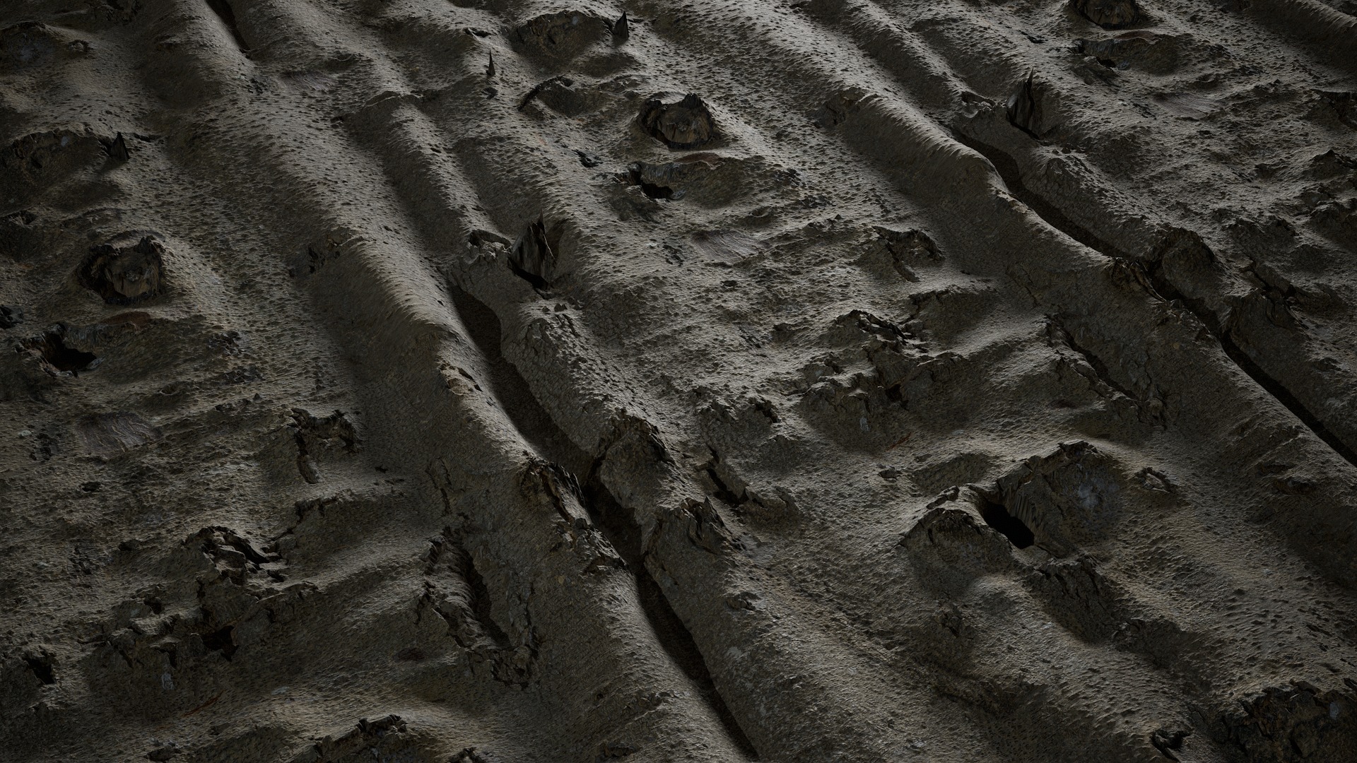 Anydrafts Bauhinia variegata Bark 08 Texture_2