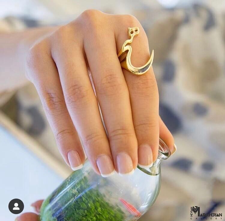 Ring with The word nothing Hich in Persian 3D print model_3