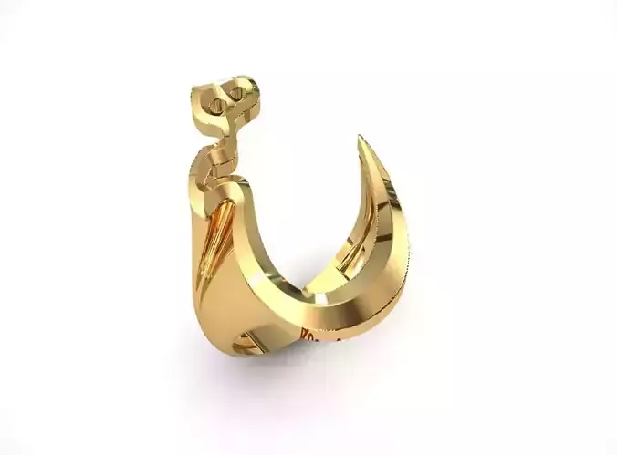 Ring with The word nothing   Hich  in Persian