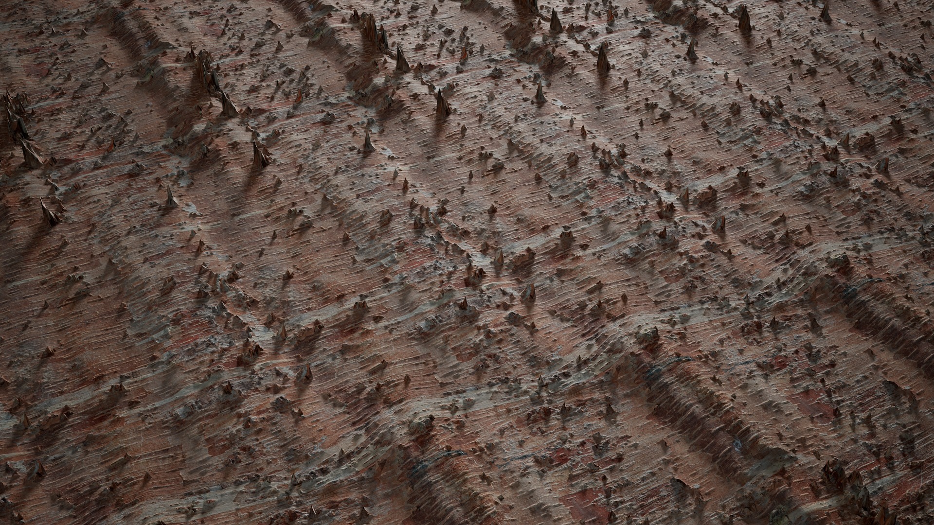 Anydrafts Betula albosinensis Bark 02 Texture_2