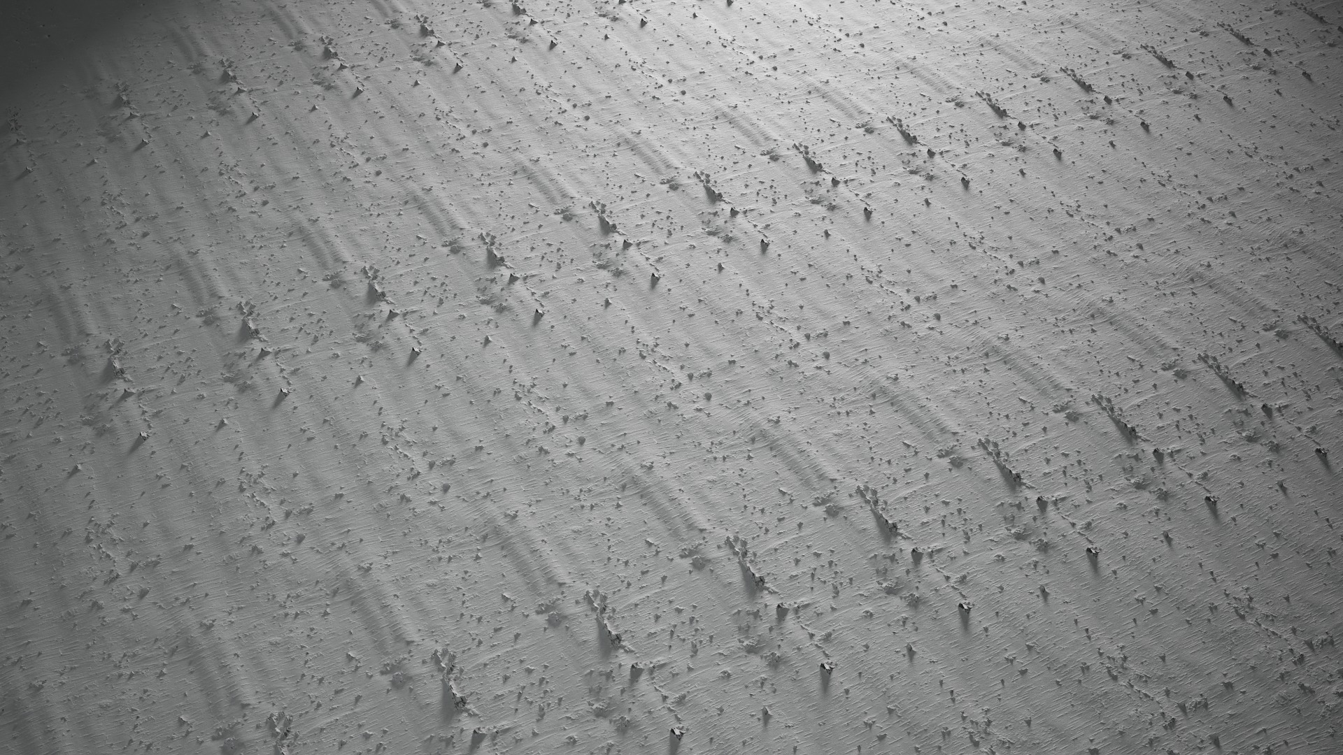 Anydrafts Betula albosinensis Bark 02 Texture_4