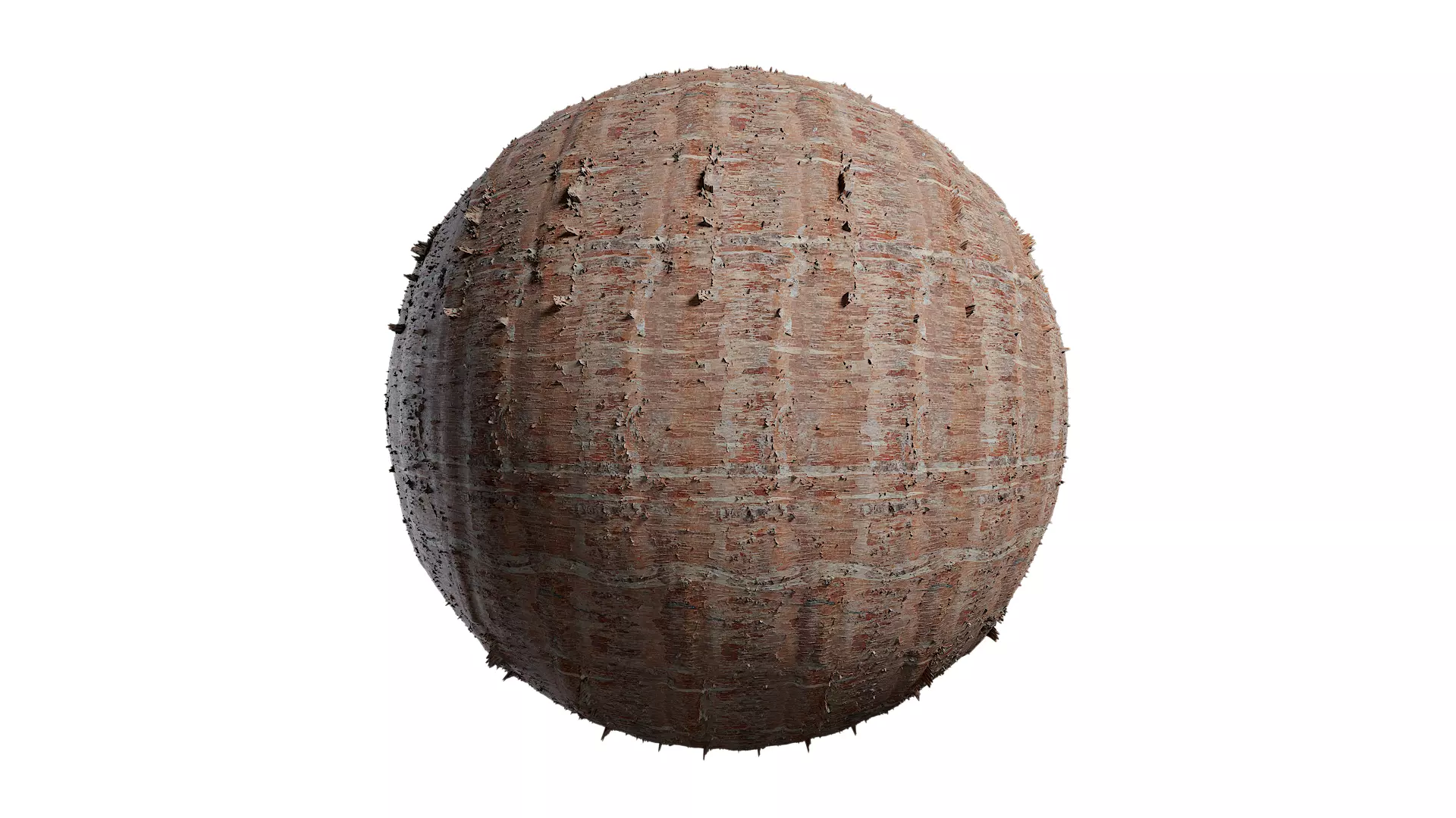 Anydrafts Betula albosinensis Bark 02 Texture_0