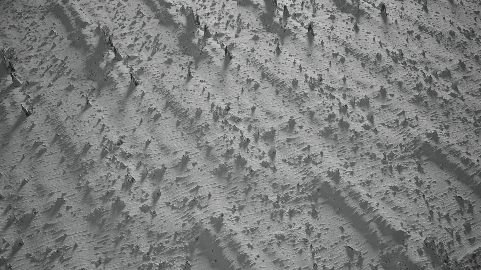 Anydrafts Betula albosinensis Bark 02 Texture_3