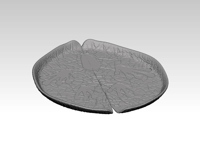 Frog on a water lily leaf 3D print model_9