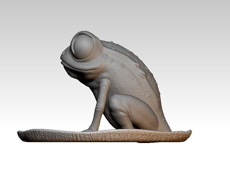 Frog on a water lily leaf 3D print model_5
