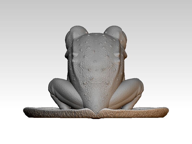 Frog on a water lily leaf 3D print model_6