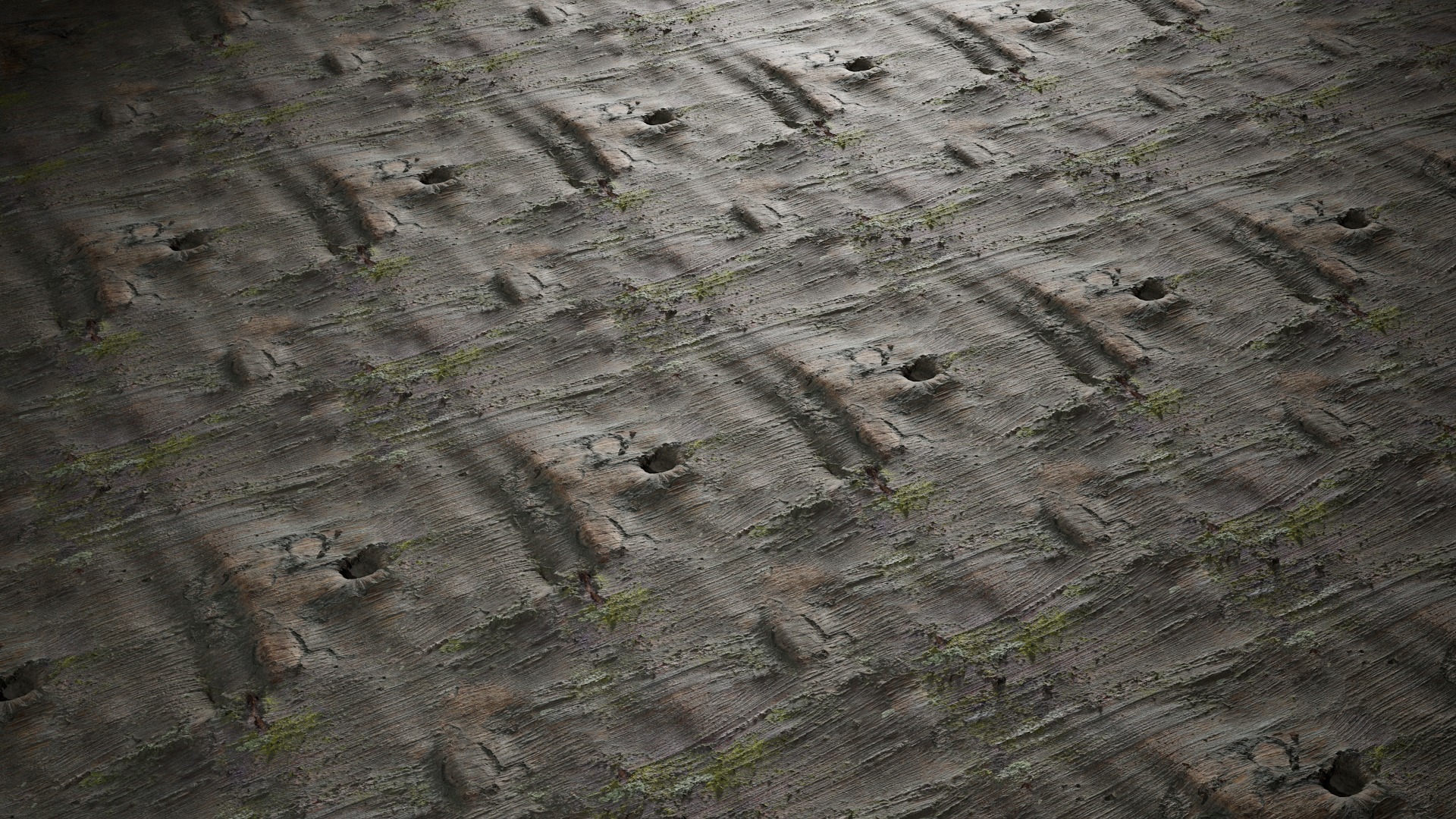 Anydrafts Betula albosinensis Bark 07 Texture_4