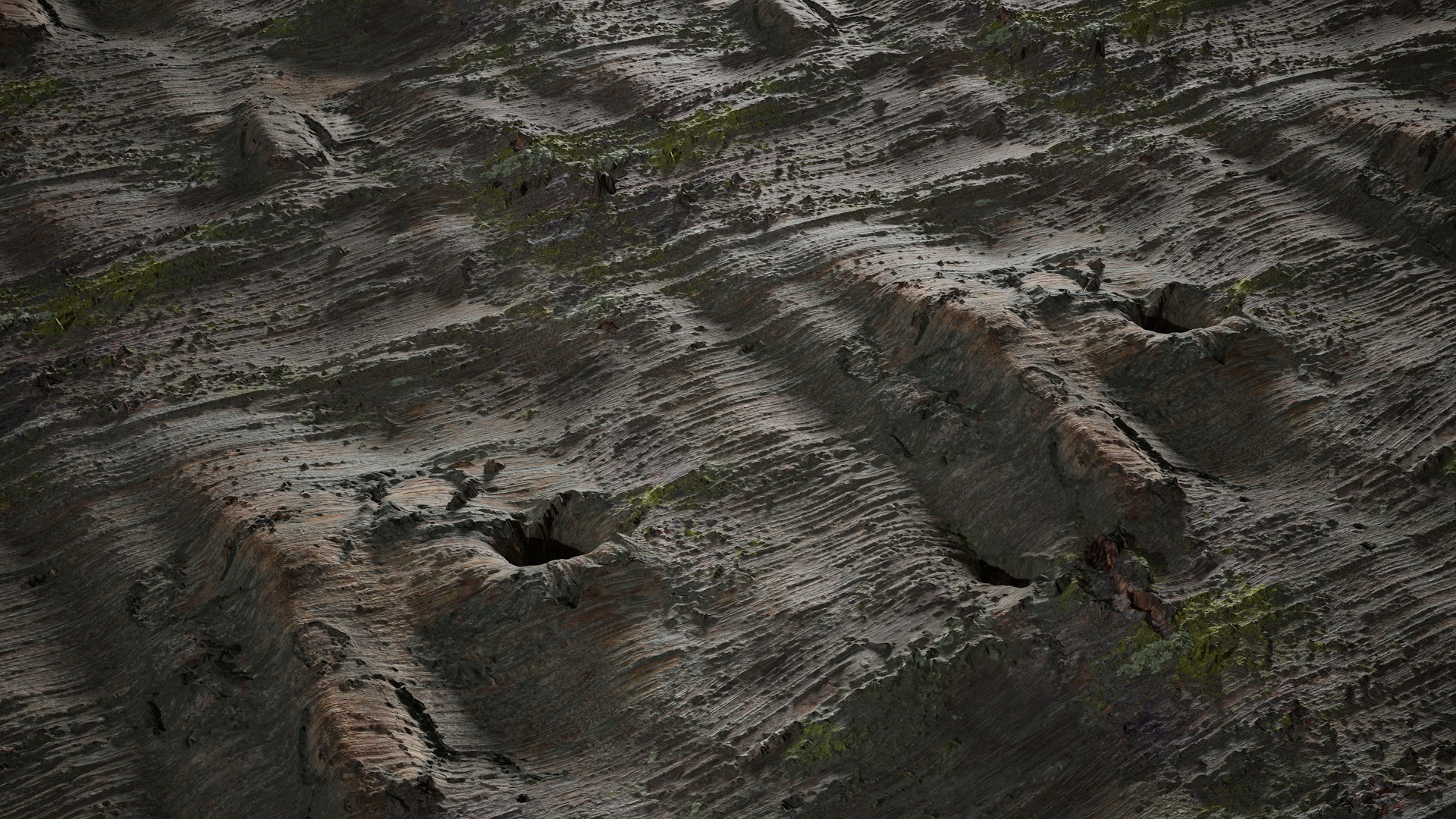 Anydrafts Betula albosinensis Bark 07 Texture_2