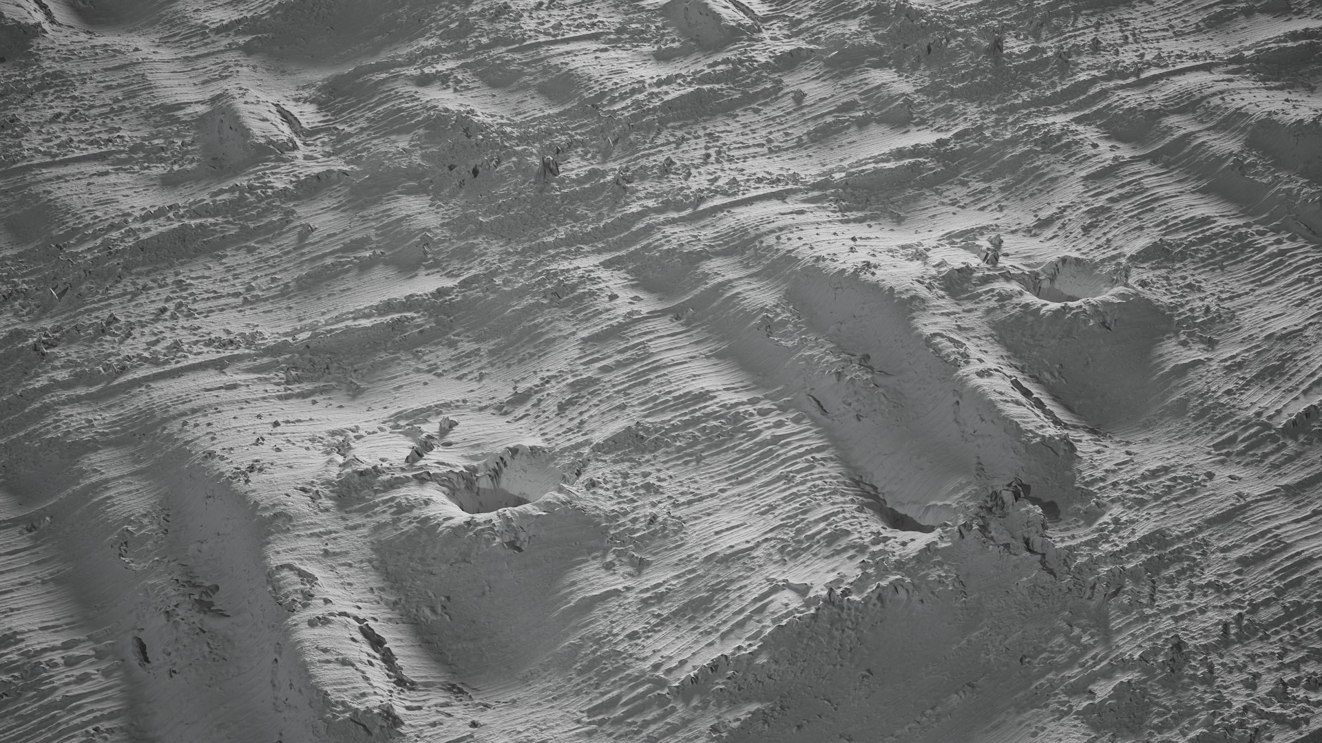 Anydrafts Betula albosinensis Bark 07 Texture_3