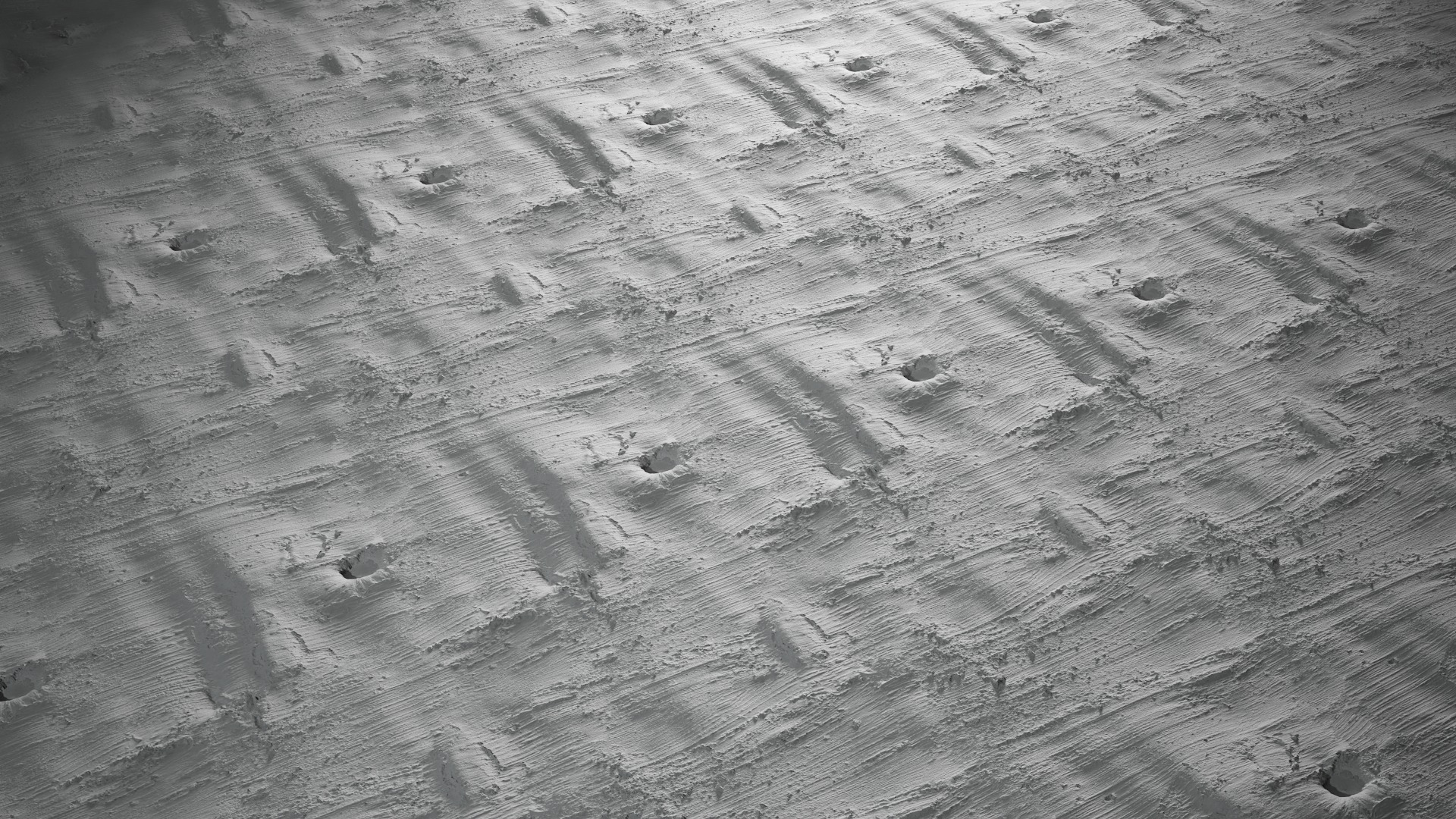 Anydrafts Betula albosinensis Bark 07 Texture_5