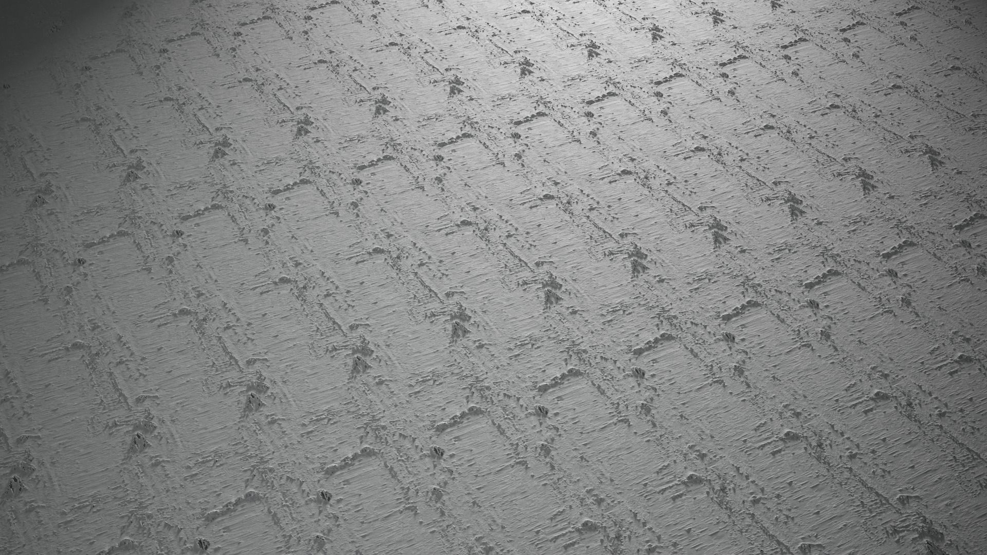 Anydrafts Betula pendula Bark 01 Texture_5