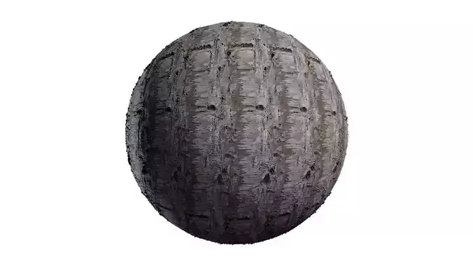 Anydrafts Betula pendula Bark 01