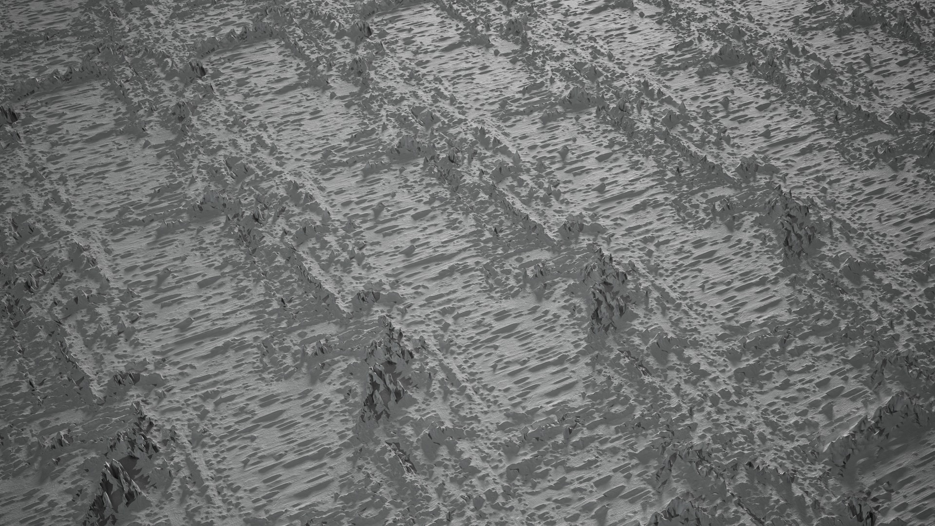 Anydrafts Betula pendula Bark 01 Texture_3