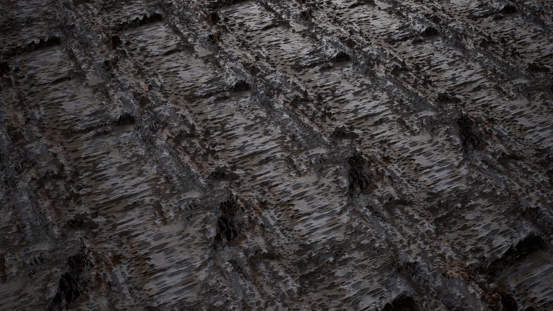 Anydrafts Betula pendula Bark 01 Texture_2