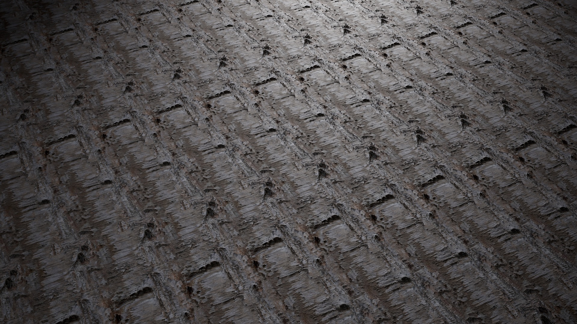 Anydrafts Betula pendula Bark 01 Texture_4