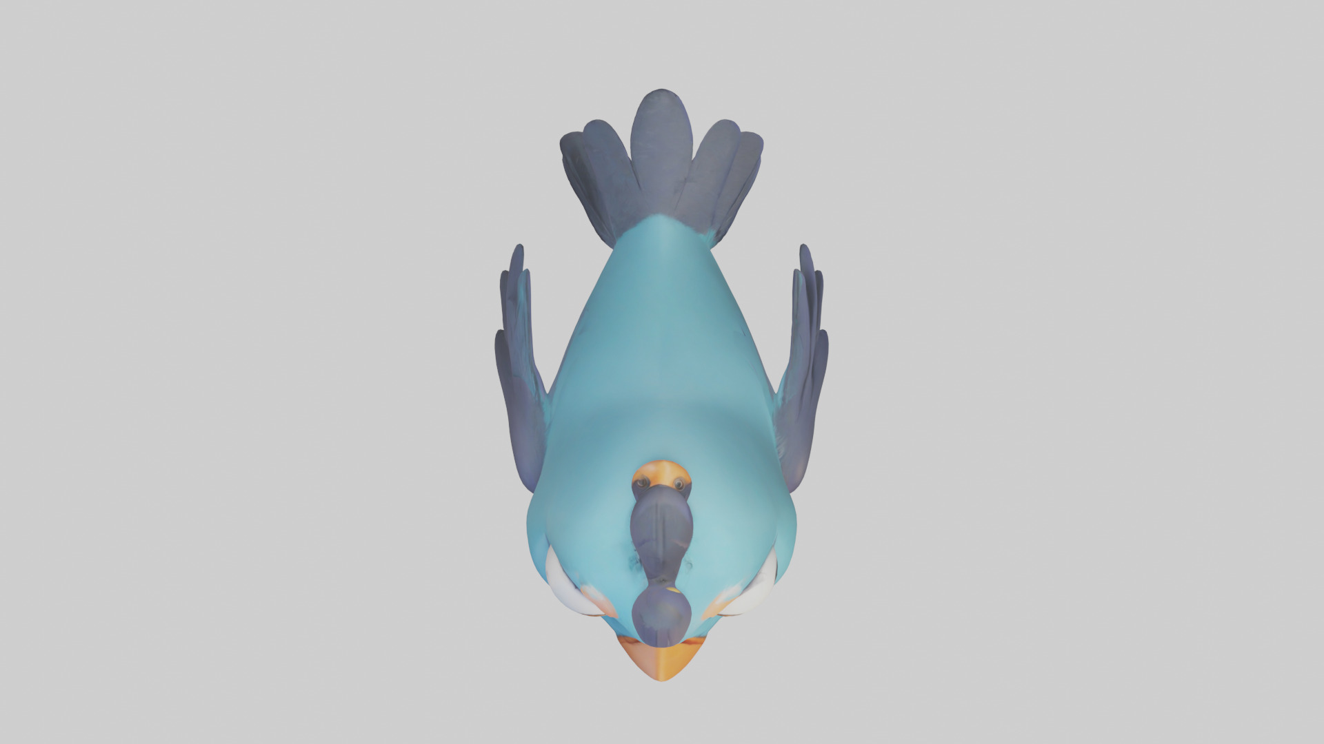 Cartoon Bird model 3D model_14