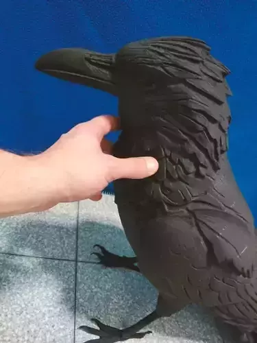 Raven Crow 