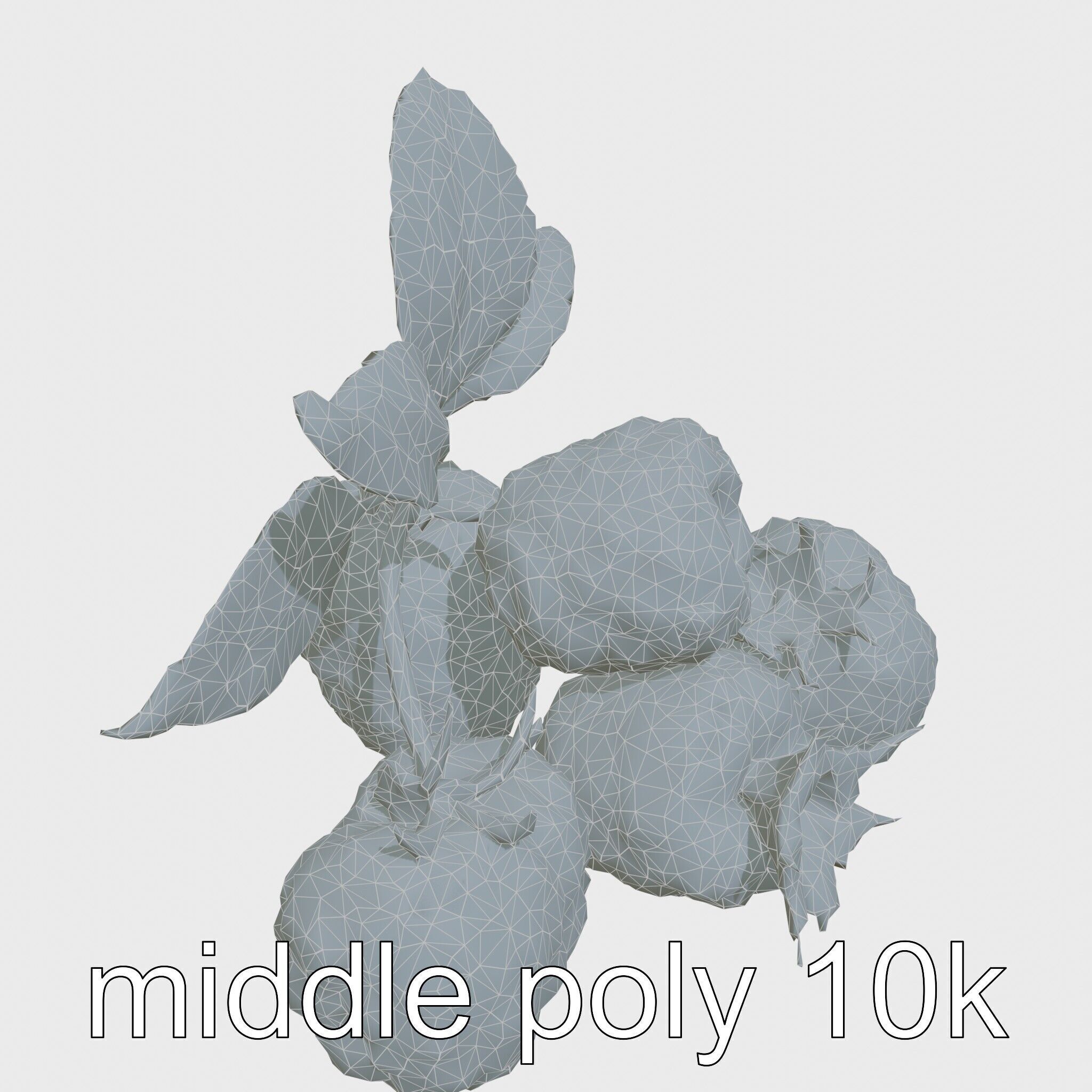 Raspberry Cluster with Texture model pack Low-poly 3D model_19