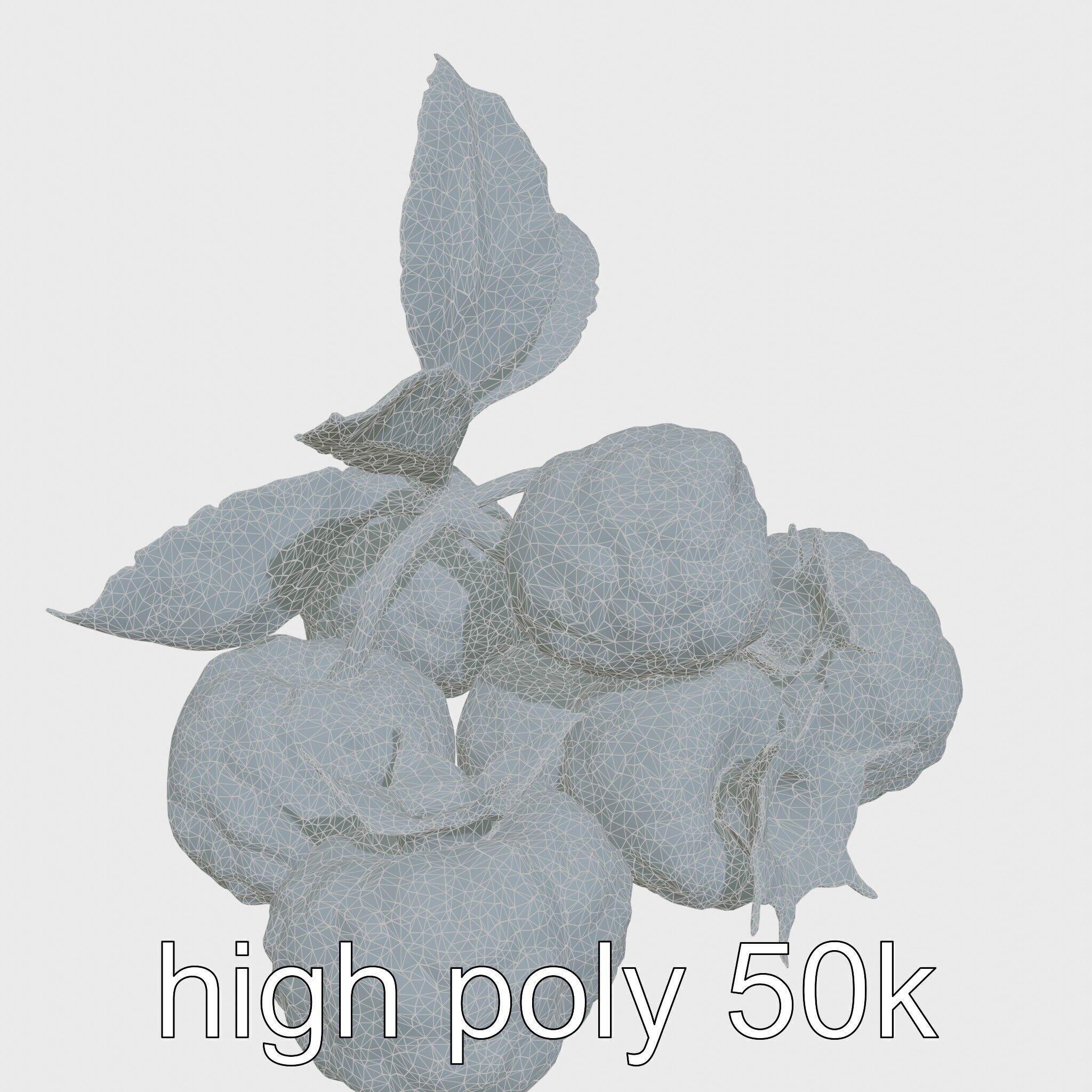 Raspberry Cluster with Texture model pack Low-poly 3D model_27