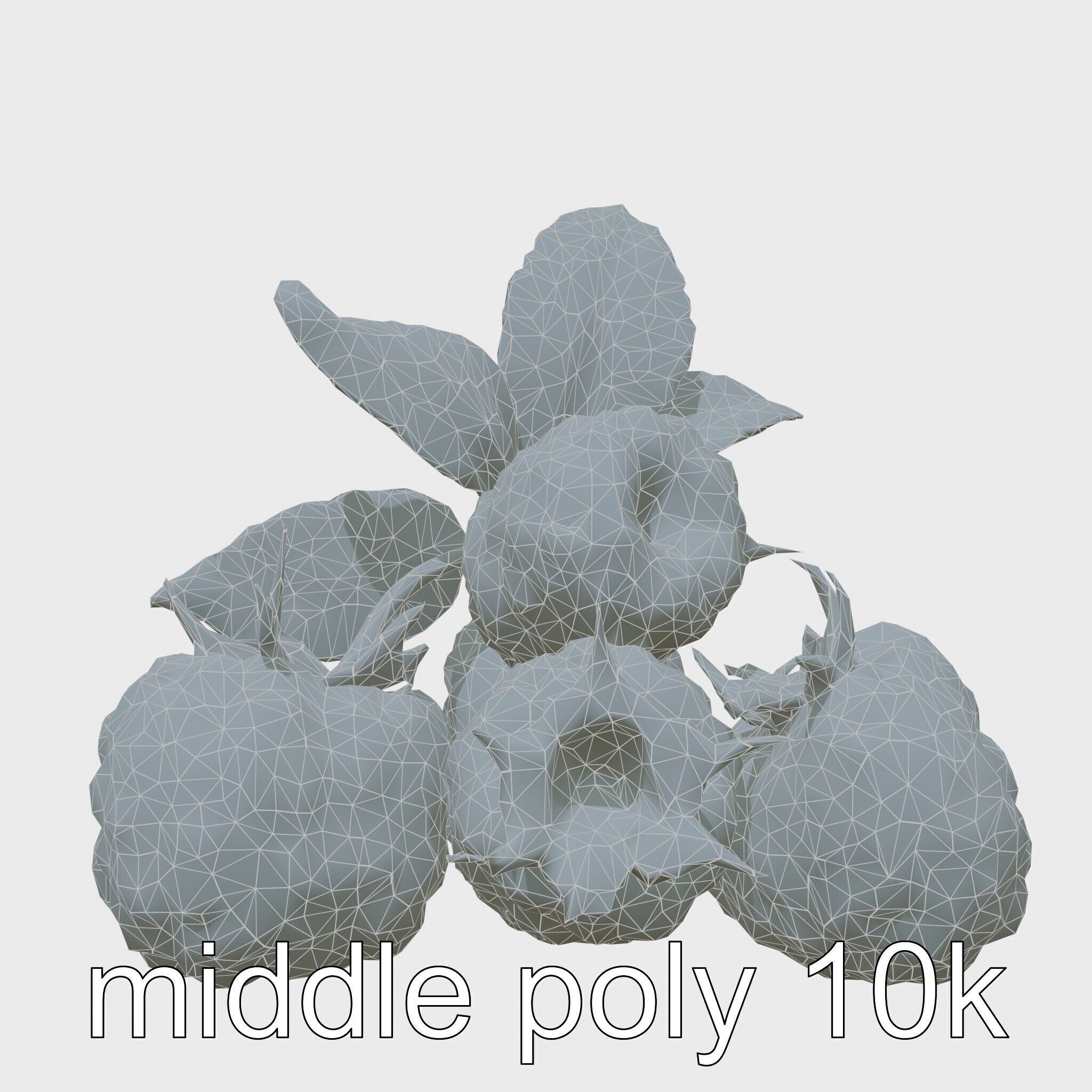 Raspberry Cluster with Texture model pack Low-poly 3D model_32