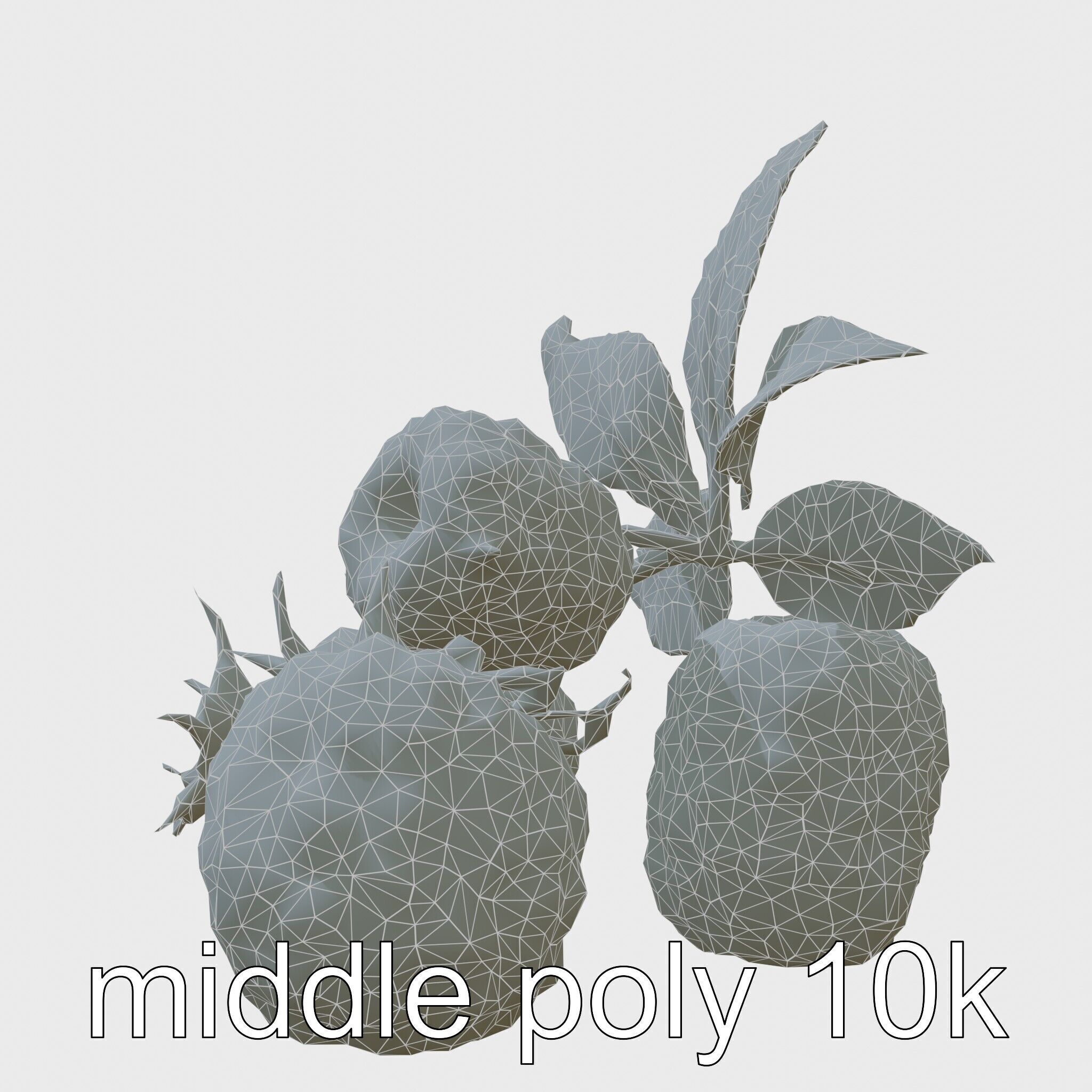 Raspberry Cluster with Texture model pack Low-poly 3D model_9