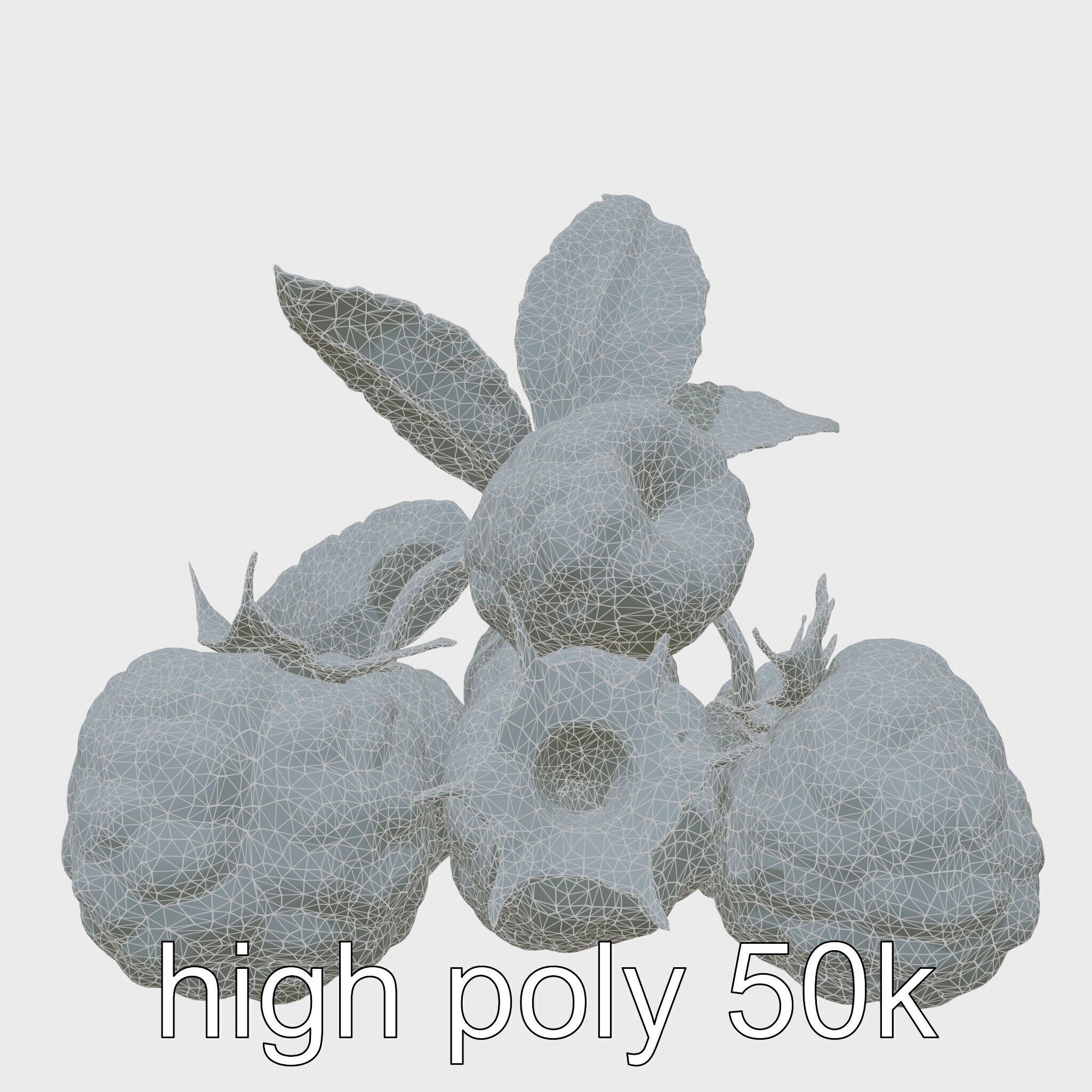 Raspberry Cluster with Texture model pack Low-poly 3D model_17