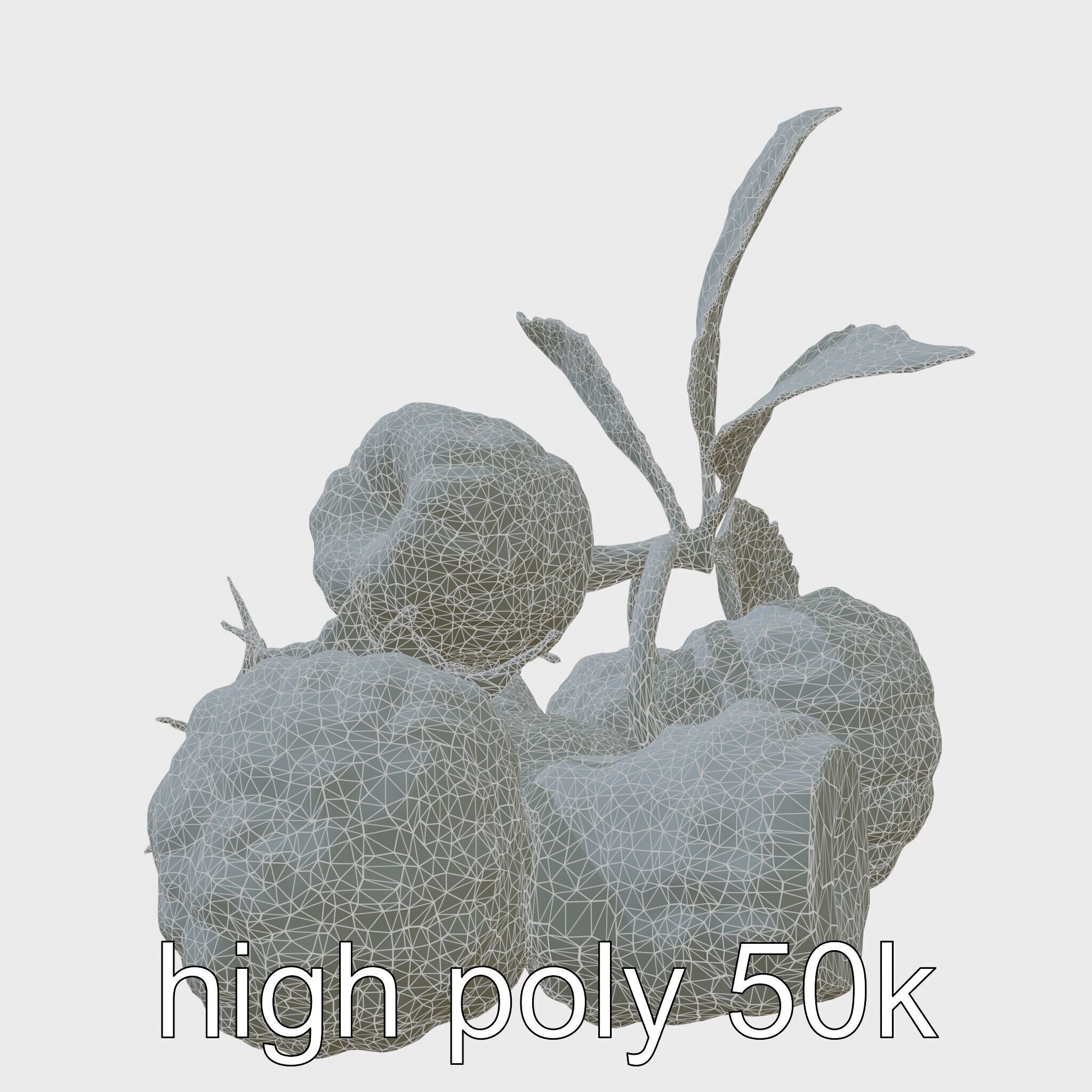 Raspberry Cluster with Texture model pack Low-poly 3D model_8