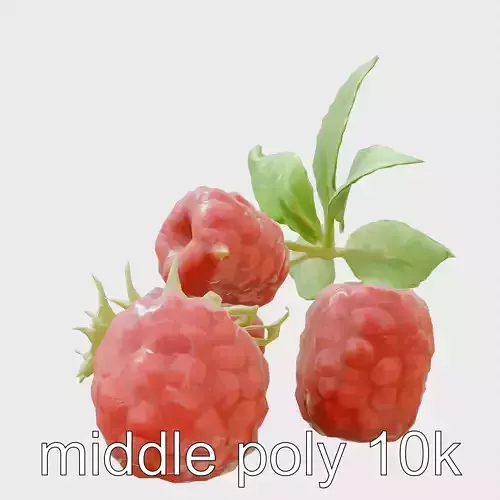 Raspberry Cluster with Texture model pack Low-poly 3D model