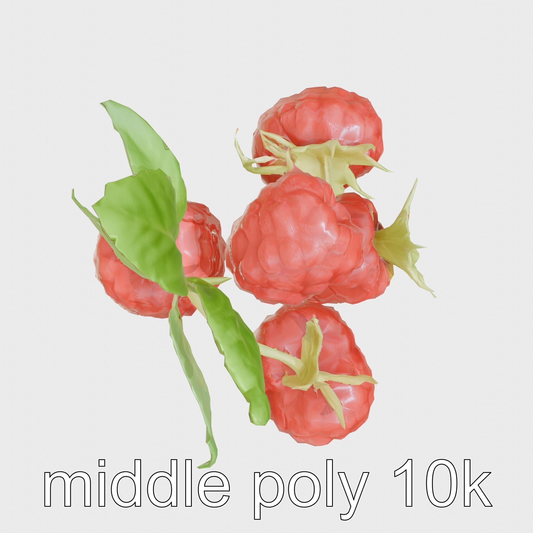 Raspberry Cluster with Texture model pack Low-poly 3D model_31