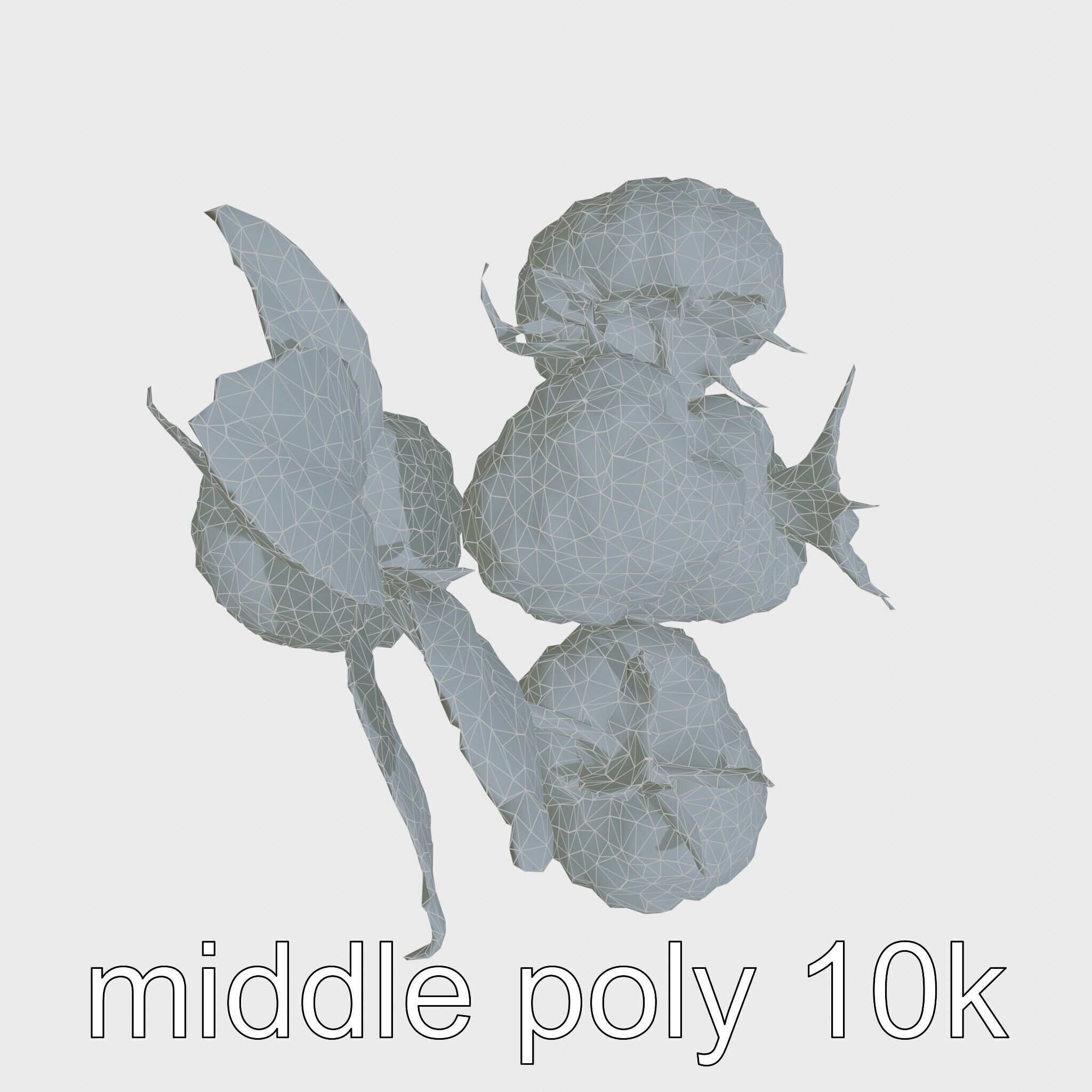 Raspberry Cluster with Texture model pack Low-poly 3D model_15