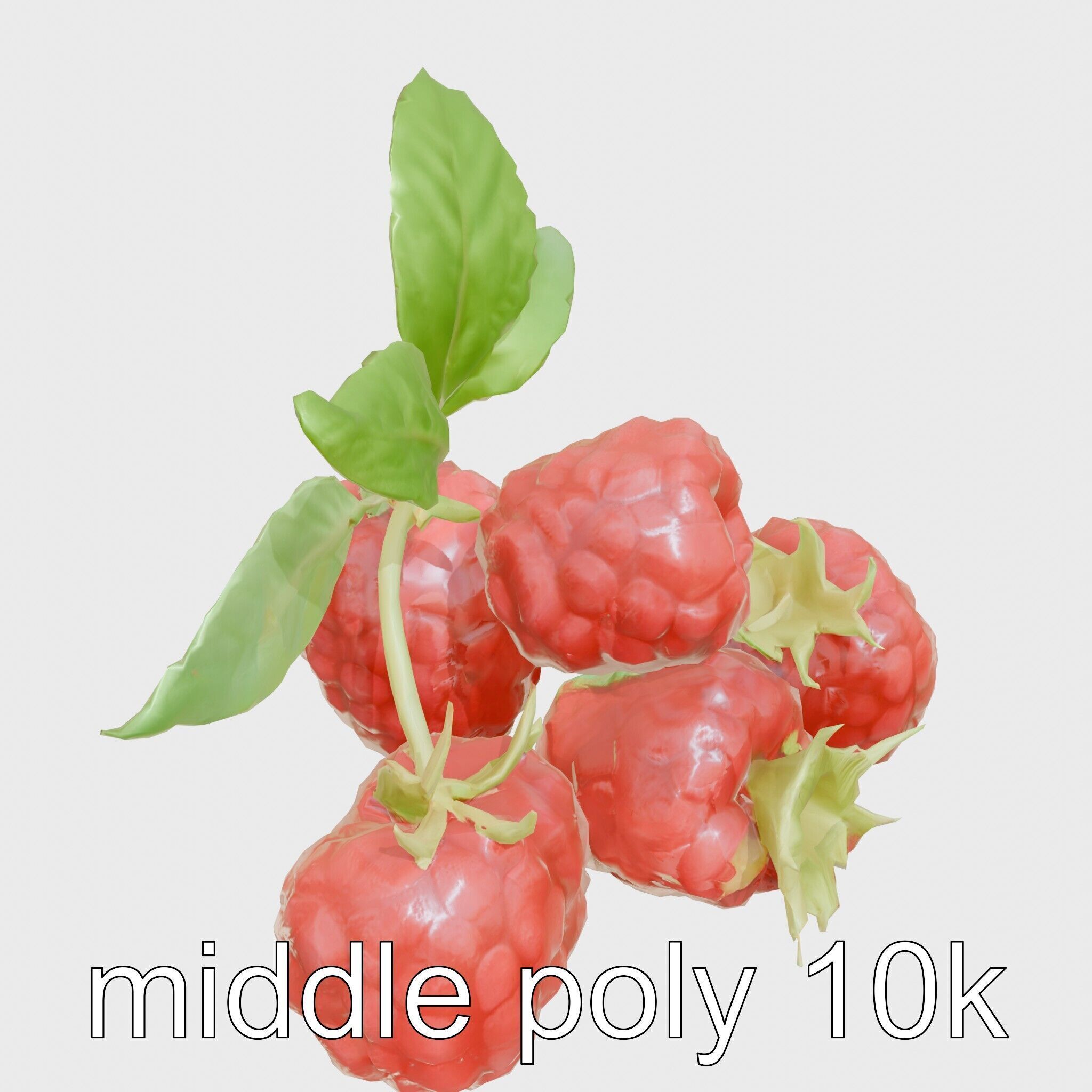 Raspberry Cluster with Texture model pack Low-poly 3D model_12