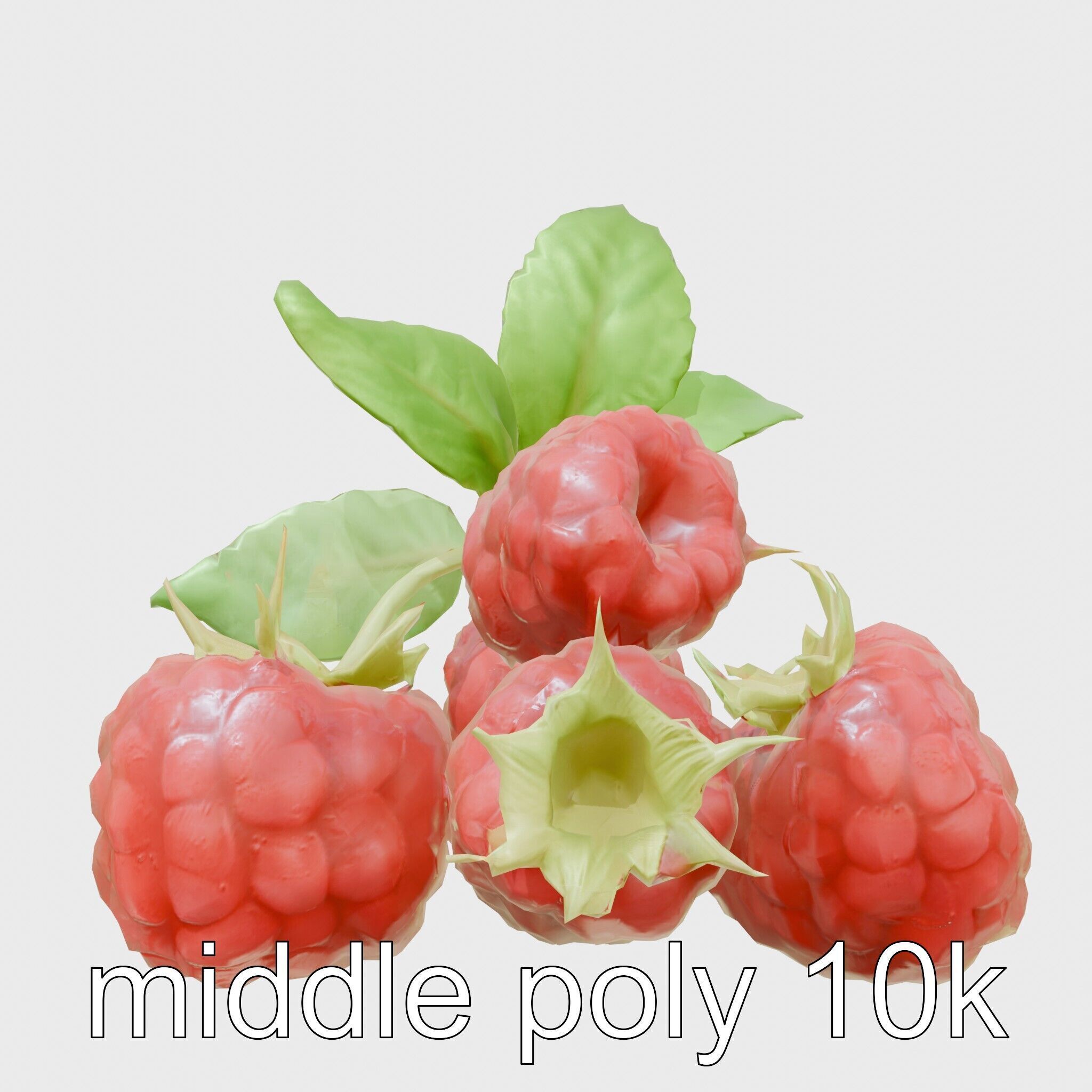 Raspberry Cluster with Texture model pack Low-poly 3D model_18