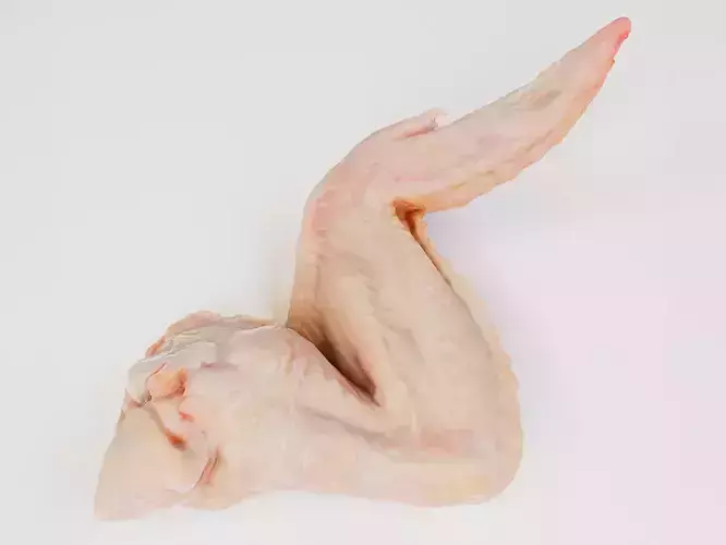 3d scanned Chicken wings 