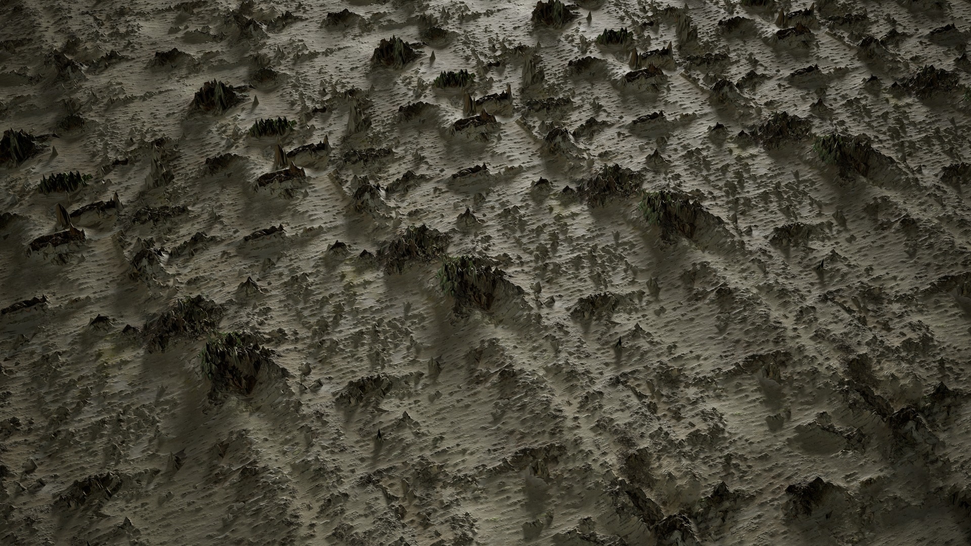 Anydrafts Betula platyphylla Bark 05 Texture_2