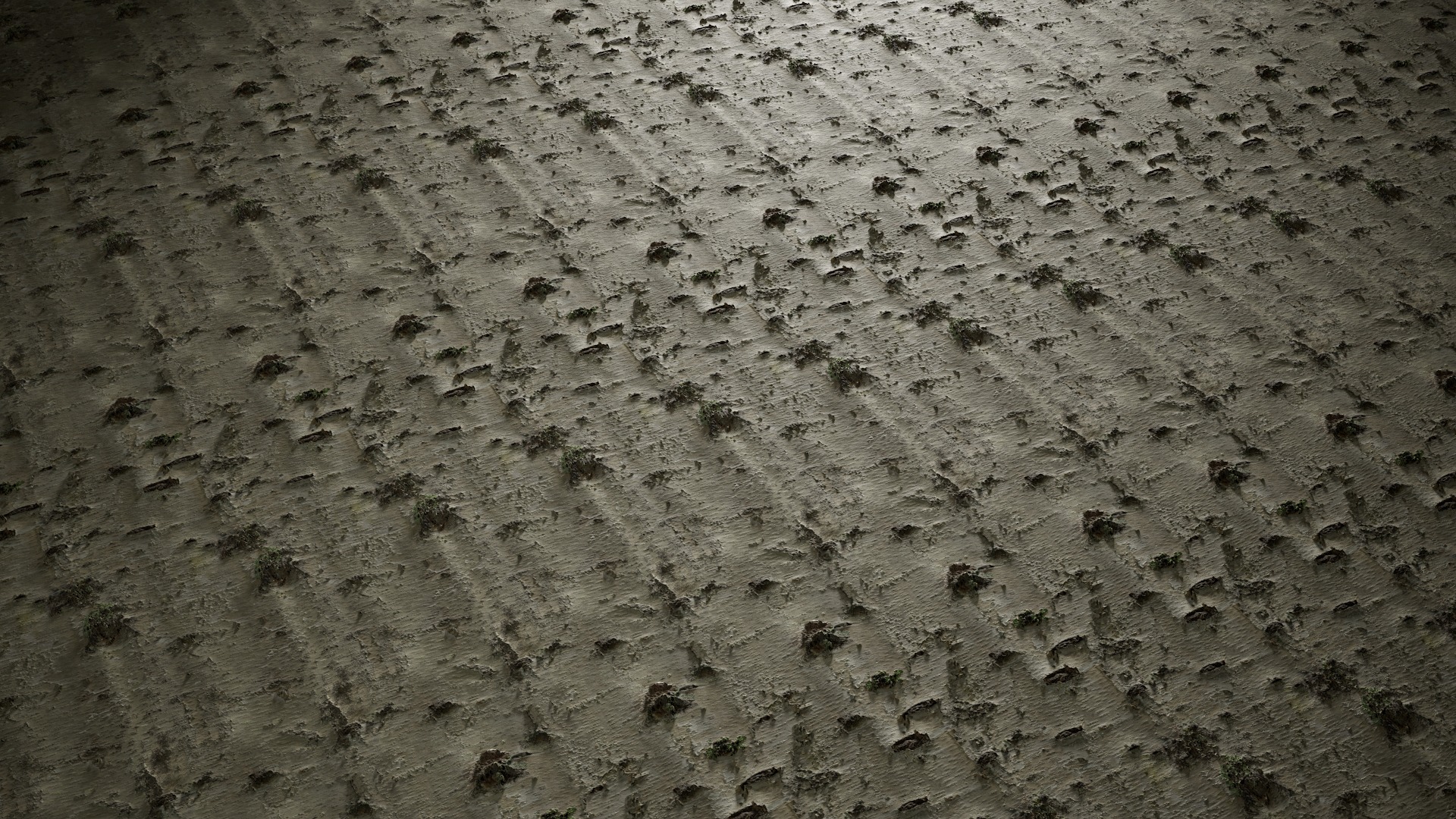 Anydrafts Betula platyphylla Bark 05 Texture_4