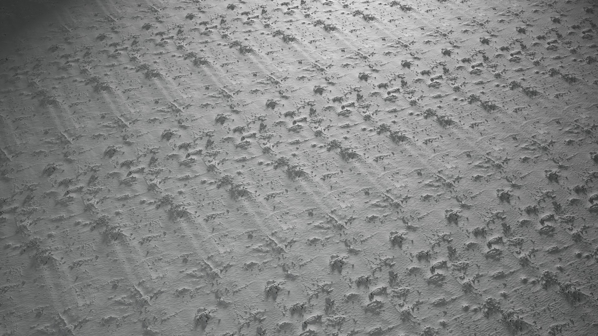 Anydrafts Betula platyphylla Bark 05 Texture_5