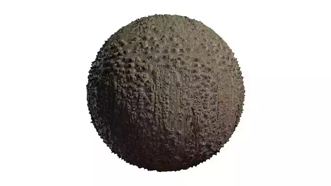 Anydrafts Bombax ceiba Bark 01