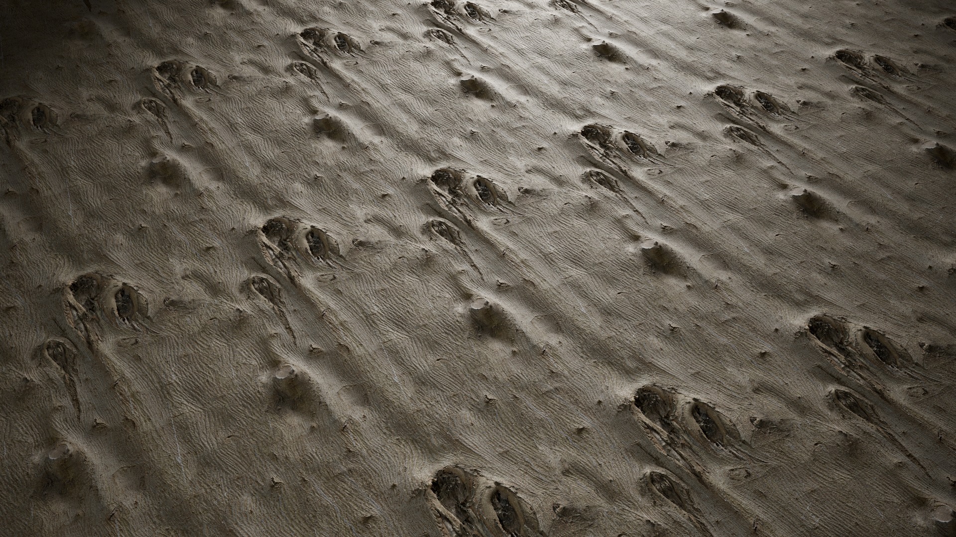 Anydrafts Broussonetia papyrifera Bark 05 Texture_4