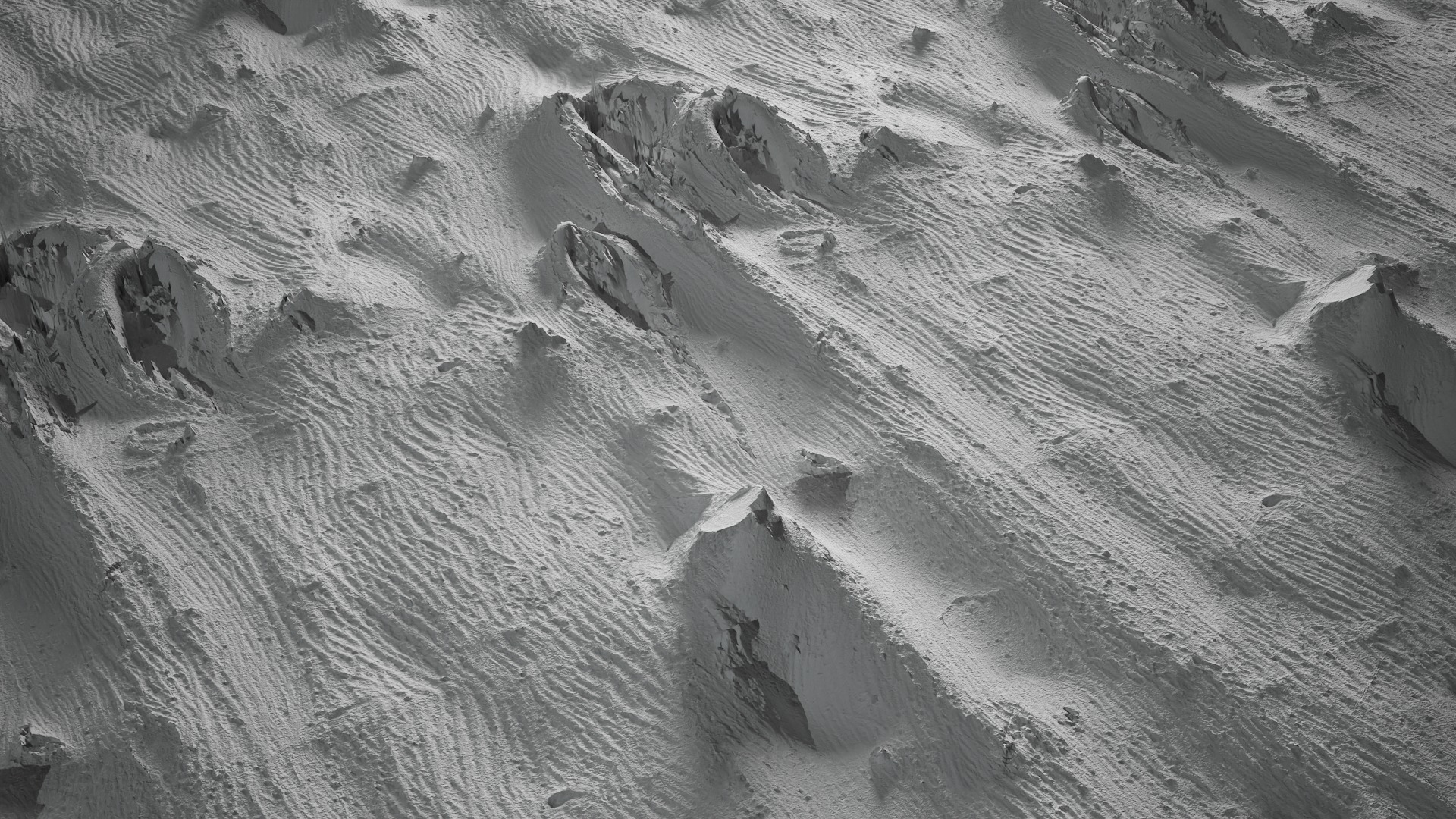 Anydrafts Broussonetia papyrifera Bark 05 Texture_3