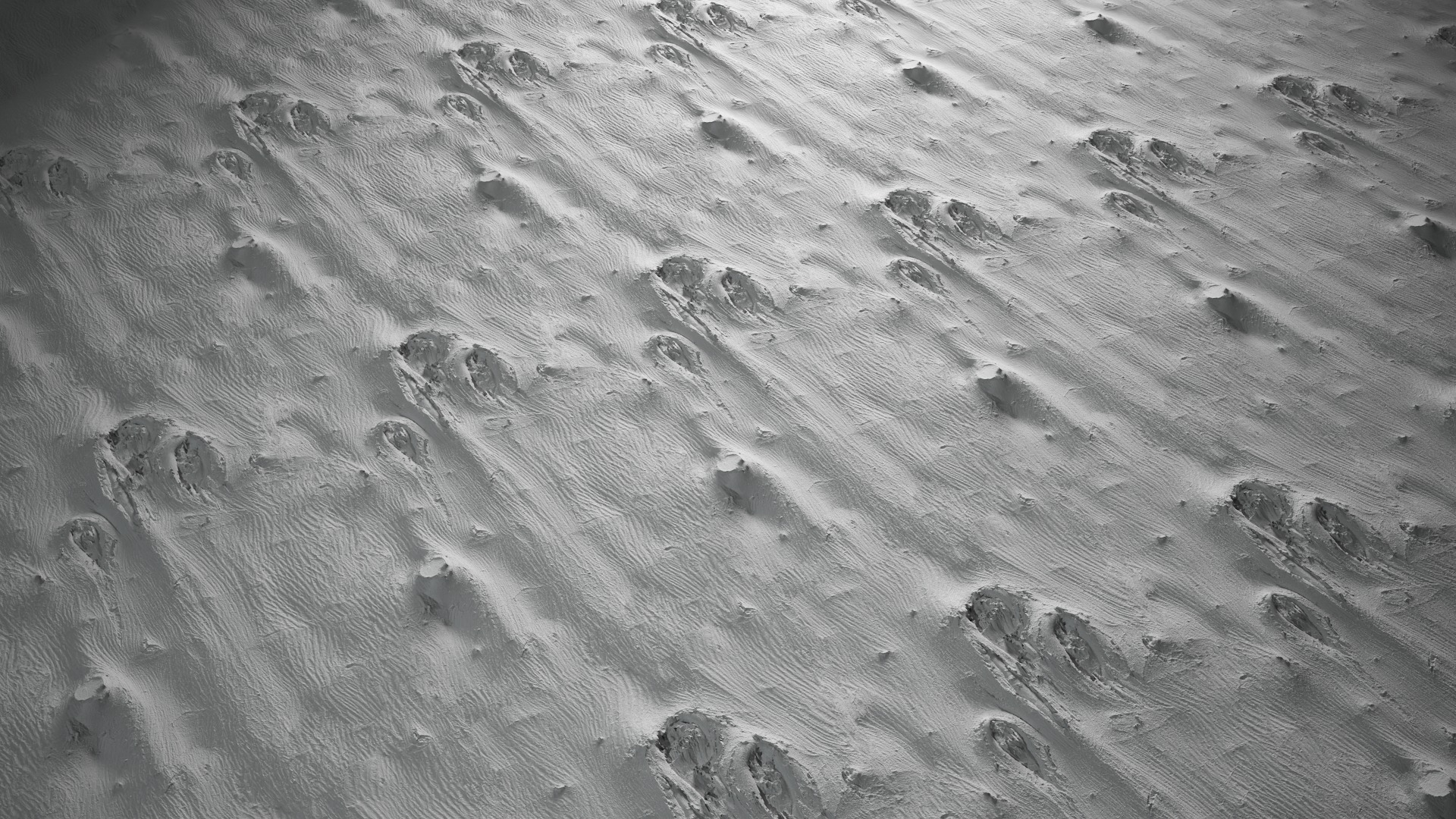 Anydrafts Broussonetia papyrifera Bark 05 Texture_5