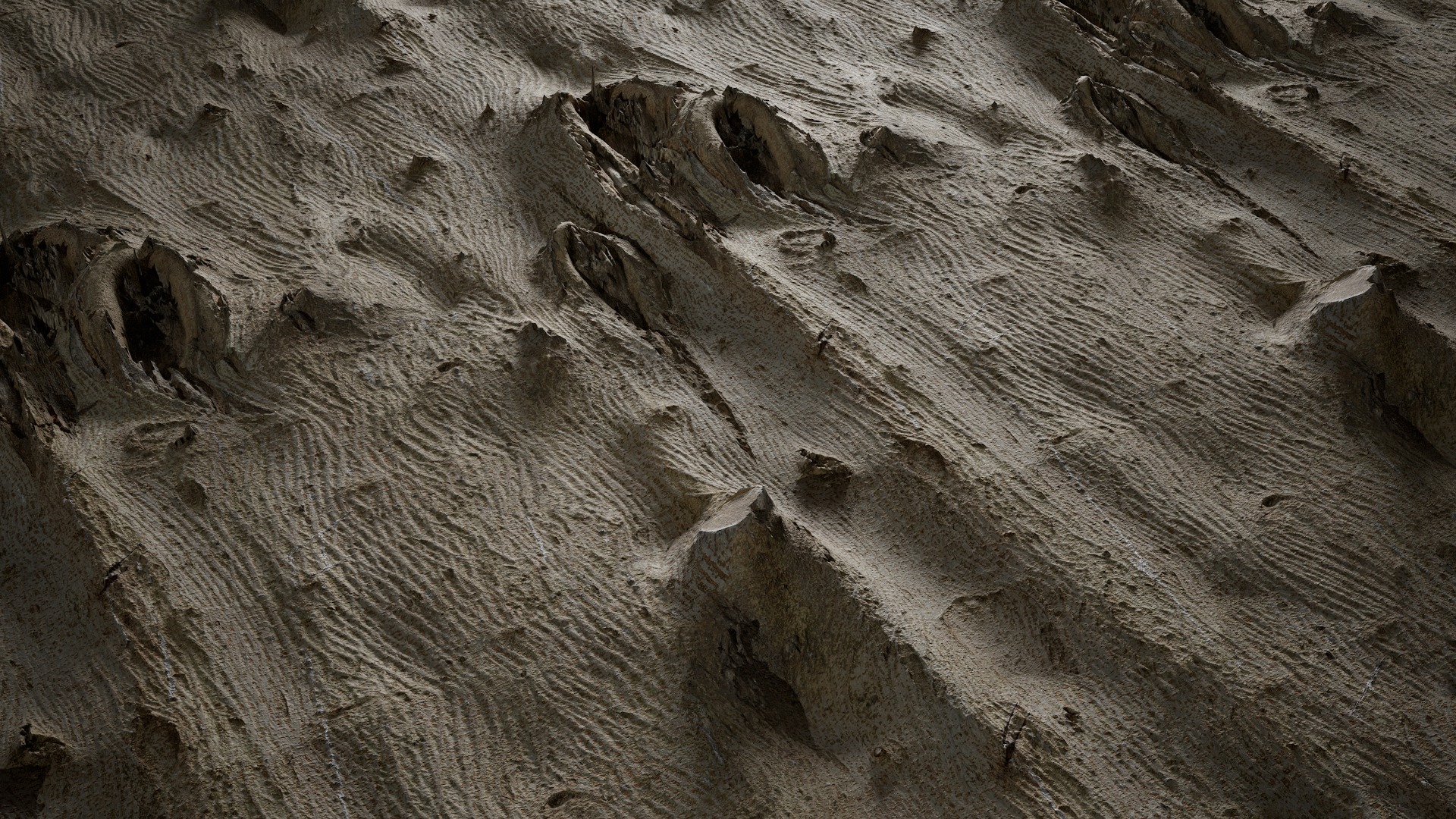 Anydrafts Broussonetia papyrifera Bark 05 Texture_2