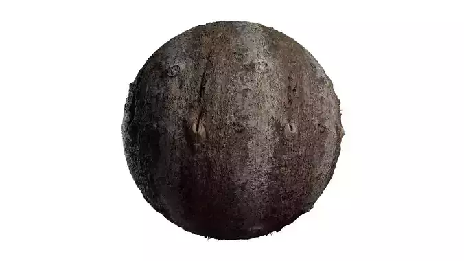 Anydrafts Cassia fistula Bark 01