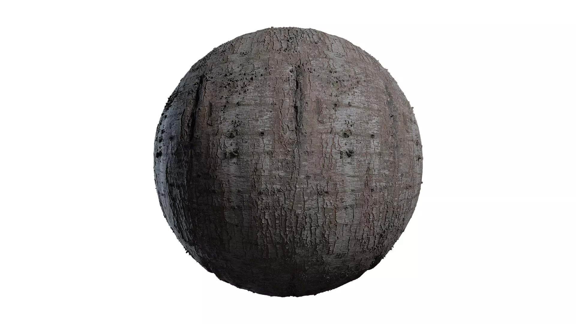 Anydrafts Cedrus deodara Bark 01 Texture