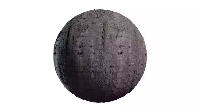 Anydrafts Cedrus deodara Bark 01